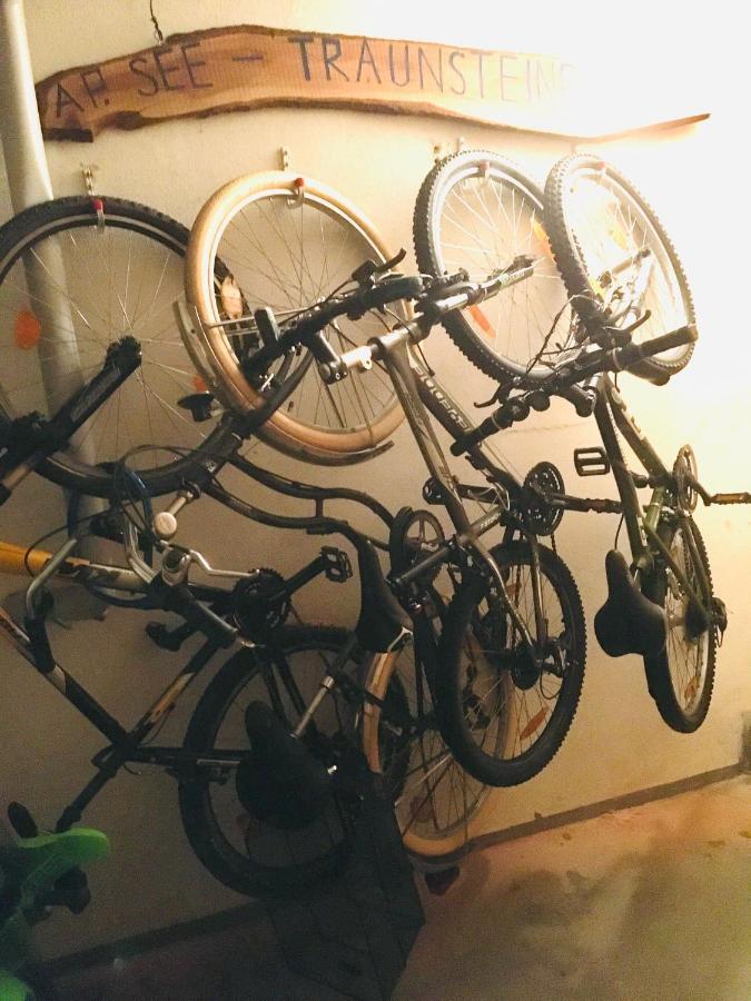 Apartment See Und Traunsteinblick Altmünster エクステリア 写真